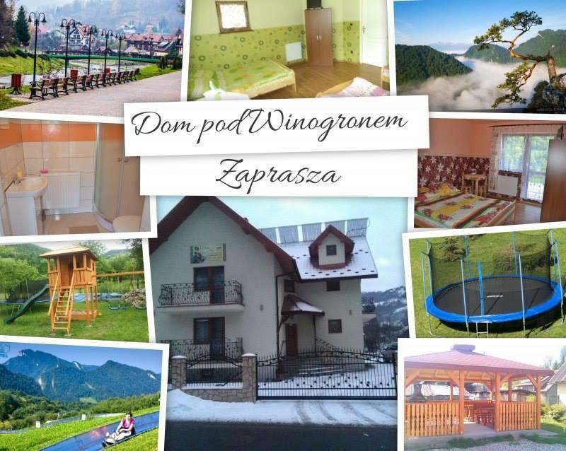 Dom Pod Winogronem Apartment Szczawnica Exterior foto